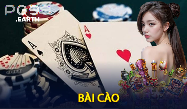 Bài Cào